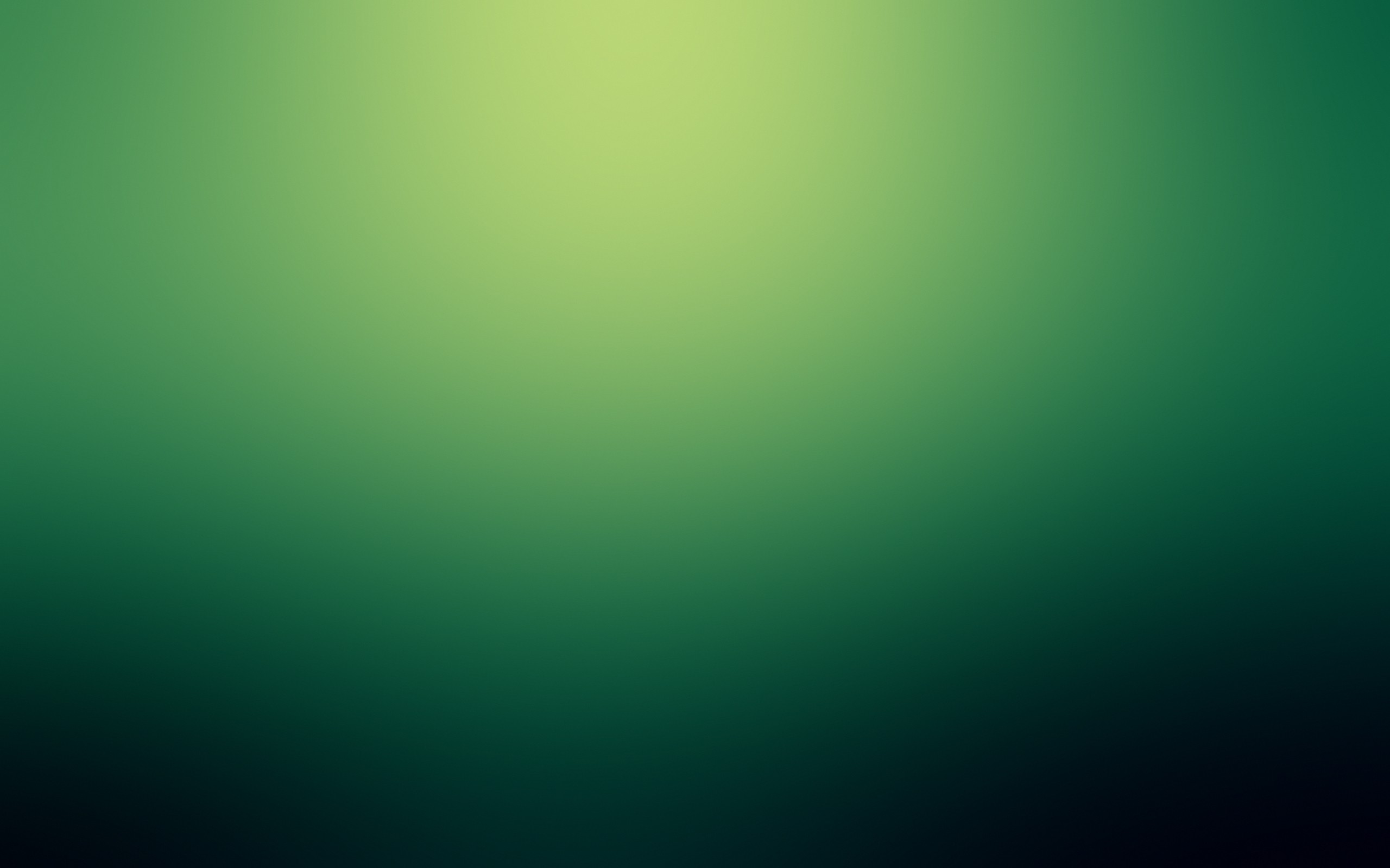 Morteza Rabie - project manager